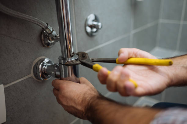 Best Plumbing Services Near Me  in Desloge, MO